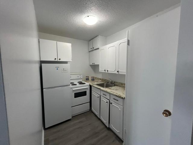 27 Lucerne 27 Lucerne 1 Bed Plan A [object Promise] for Rent