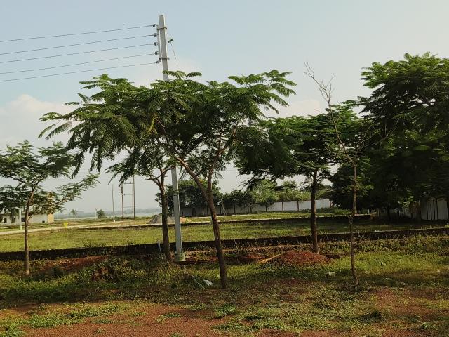 2400 Sq.Ft. Plot in Sejbahar Raipur Listing ID: #9799