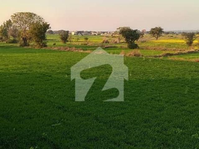 240 Kanal Agriculture Land Sale In Chakwal