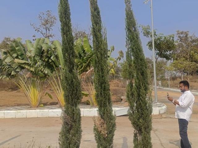 240 Sq.Yd. Plot in Maheshwaram Hyderabad Listing ID: #10010