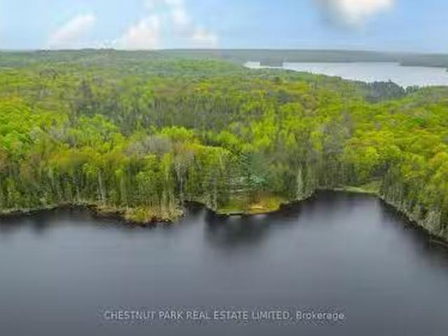 2411 Soyers Lake Road N, Minden Hills, ON, K0M 1S0 house for.