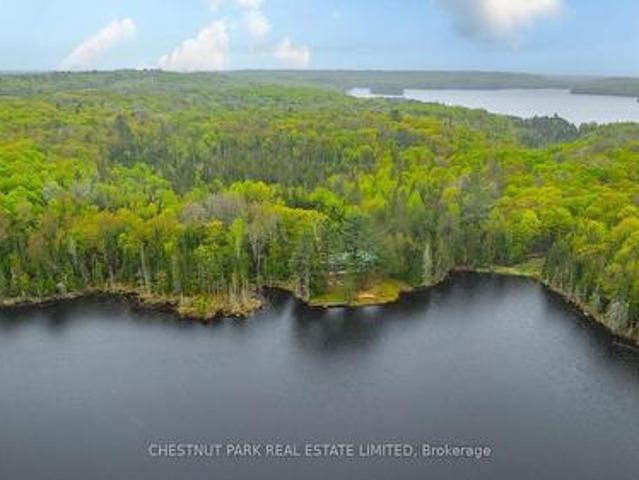 2411 Soyers Lake Road N, Minden Hills, ON, K0M 1S0 house for sale | Listing ID X12278 | Royal LePage