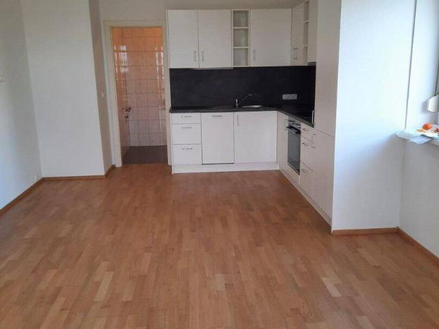 2413 Berg 2 Zimmerwohnung mit kleinem Garten