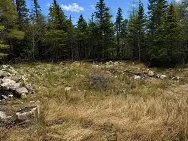 241A Middle Gull Pond Road, Middle Gull Pond, NL, A0B 1G0 va.