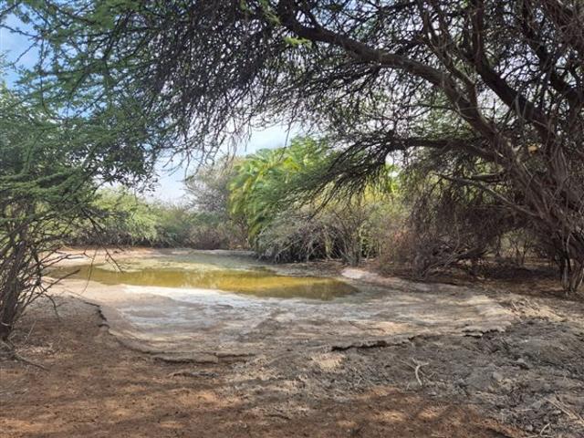 242 ha Farm in Thabazimbi
