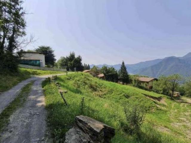243/2024 27 BG terreno a destinazione agricola/boschiva in asta a San Giovanni Bianco