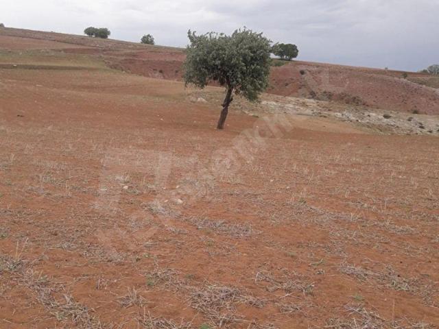 2457m *TEK TAPU* ÇANKAYAEVCİLER'de *ACİL SATILIK * Satılık Tarla