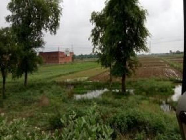 2450 Sq Ft Residential Plot In, Gosainganj, Lucknow