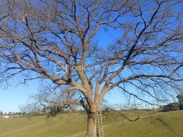 245 m² UNIQUE SUR LE SECTEUR VUE PYRENEES AU CALME EN CA