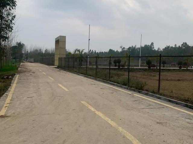 245 Sq.Yd. Plot in Biharigarh Dehradun Listing ID: #10359