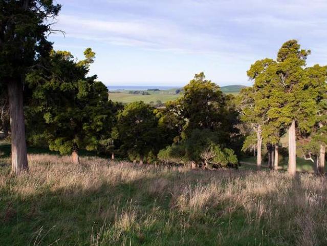 246 Double Hill Road, Herbert, Waitaki