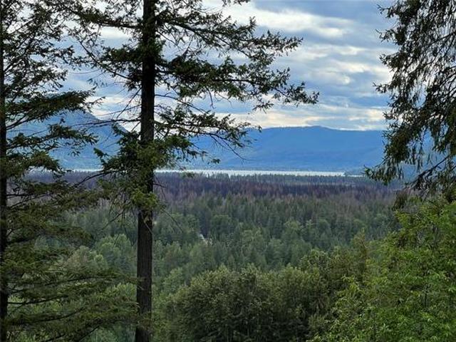 2481 Squilax Anglemont Road, Lee Creek, BC, V0E 1M0 vacant land for sale | Listing ID 10374 | Royal LePage