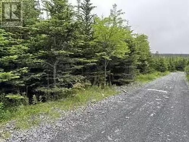249 269 Forest Road Extension, Carbonear, NL, A1Y 1A6 vacant.