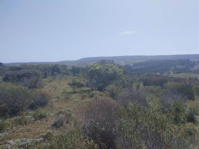 24.4 ha Farm in Stilbaai Rural