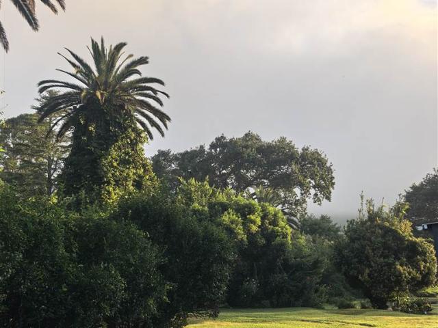 24.5 ha Smallholding in Greytown