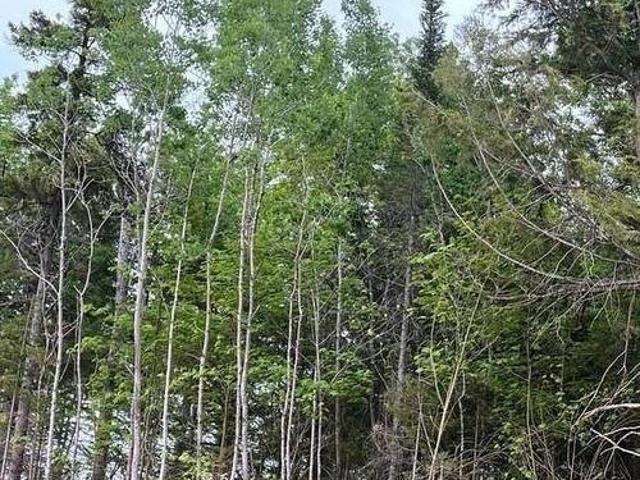 24 700 Stanley St, Lower Coverdale, NB, E1J 0B6 vacant land for sale | Listing ID NB143592 | Royal LePage
