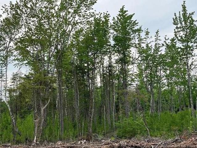 24 03 Chultun Crt, Lower Coverdale, NB, E1J 1E5 vacant land for sale | Listing ID NB143596 | Royal LePage
