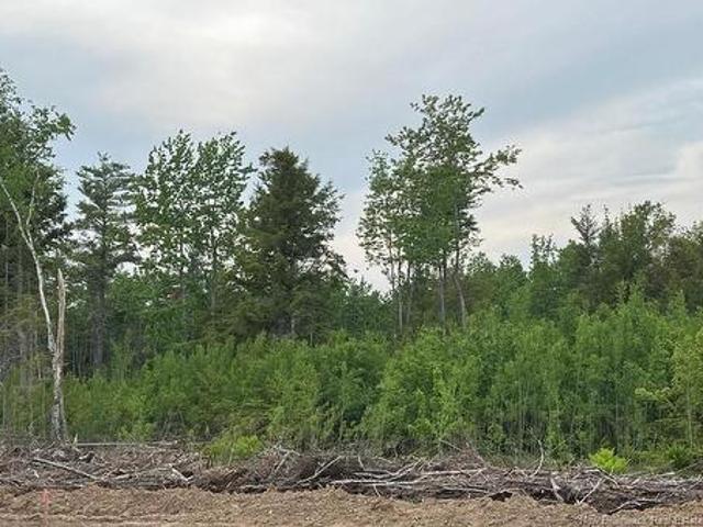 24 02 Chultun Crt, Lower Coverdale, NB, E1J 1E5 vacant land for sale | Listing ID NB143594 | Royal LePage