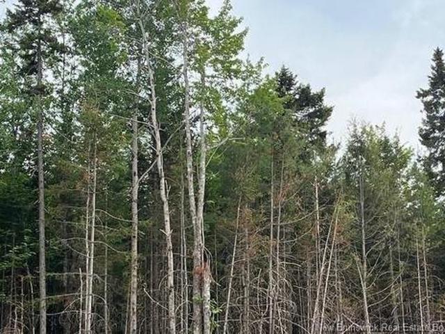 24 05 Chultun Crt, Lower Coverdale, NB, E1J 1E5 vacant land for sale | Listing ID NB143597 | Royal LePage