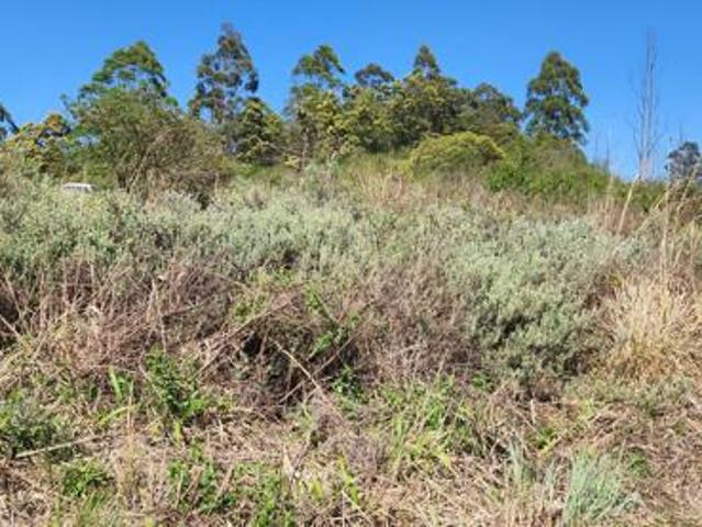 24 ha Land available in Haenertsburg
