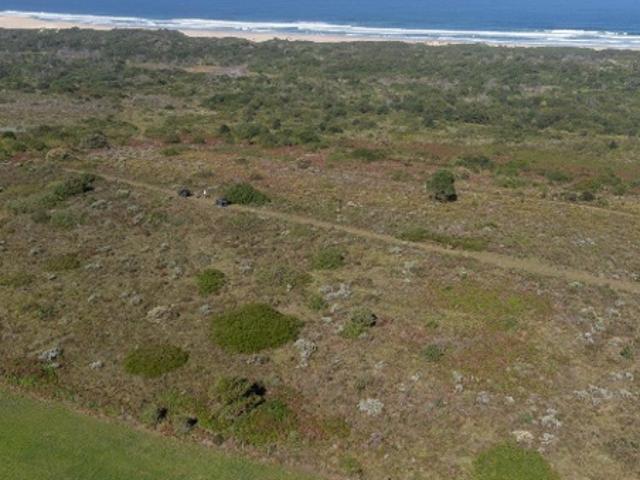 24 ha Land available in Oyster Bay