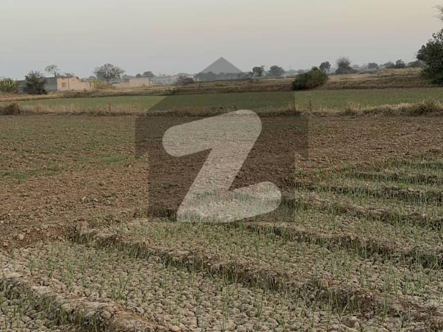 24 Kanal Land With Dera
