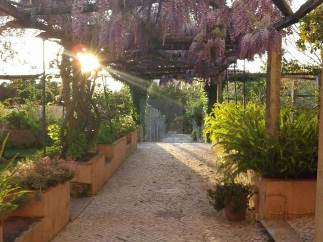 24 quarto, Lisboa Lisboa 103375589