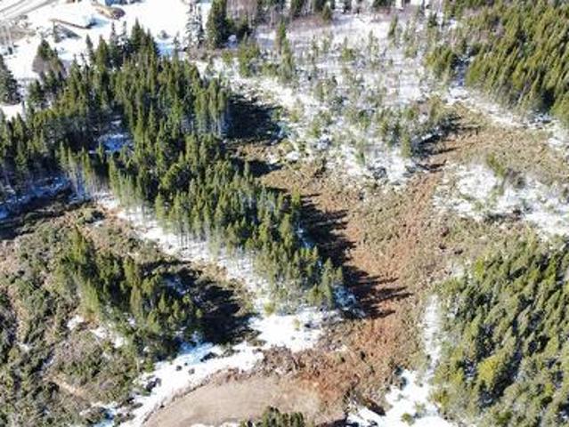 24 Silver Wood Crescent, Cormack, NL, A0A 0J1 vacant land for sale | Listing ID 1297 | Royal LePage