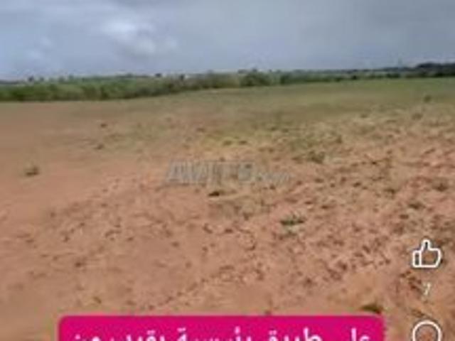 25000 M2 sidi rahal chatie
