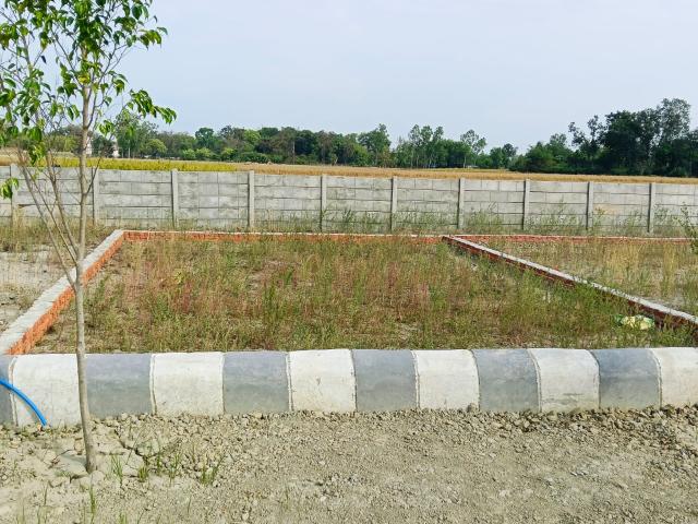 2500 Sq.Ft. Plot in Gosainganj Lucknow Listing ID: #10358