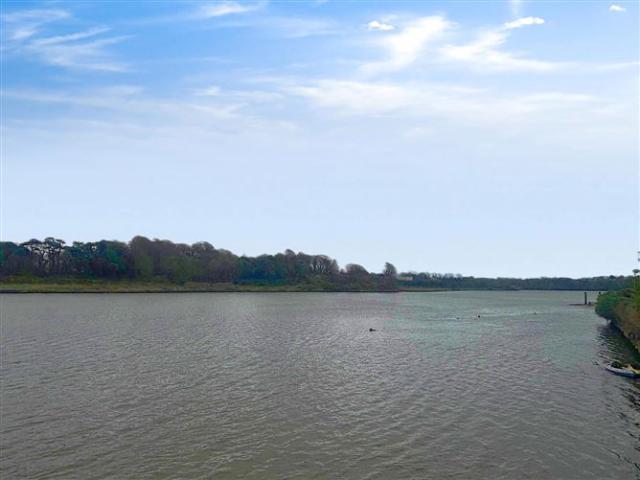 250,000 | 25 Edmund Rice Suites, Adelphi Wharf Suites, Adelphi Quay, Waterford City, Waterford Barry Murphy Auctioneers Ltd 4992 MyHome. Ie Residential