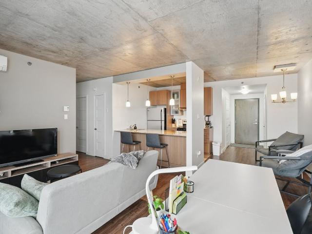 250 260 270 Maisonneuve 2 Bedroom Apartment for Rent at 260 Boul Maisonneuve, Gatineau, QC J8X 3N8 Hull/Quartier de I'Oree du Parc