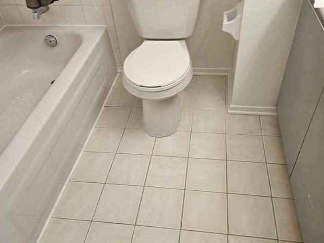 250 Brittany Drive 207 1 Bedroom Apartment for Rent at 250 Apartment Bldg, Ottawa, ON K1K 4M1 Manor Park South