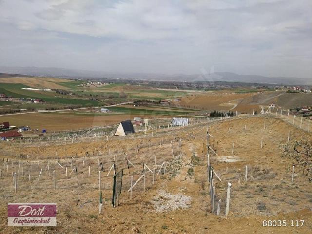250 M2 MERKEZİ KONUMDA EN HESAPLI HOBİ BAHÇESİ