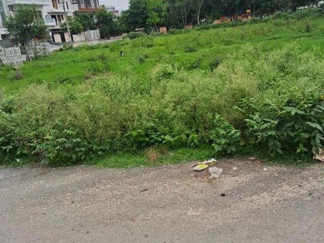 250 Sq.Yd. Plot in Sector 65 Faridabad Listing ID: #9932