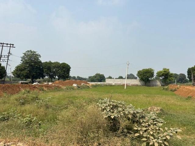 250 Sq.Yd. Plot in Sector 75 Faridabad Listing ID: #10342