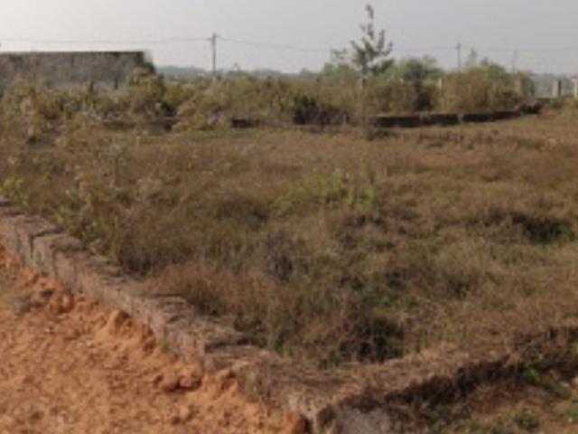 250 Sq.Yd. Plot in Sector 77 Faridabad Listing ID: #9942
