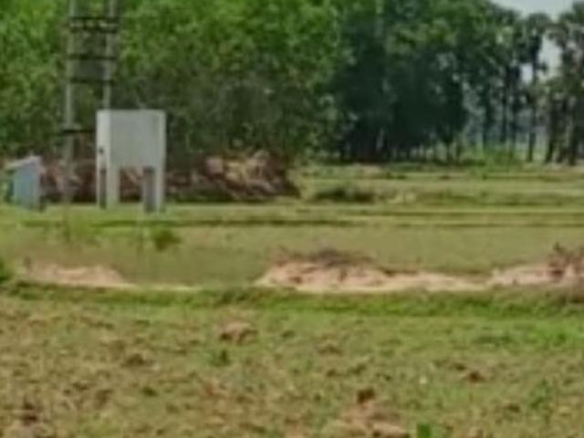 250 Sq.Yd. Plot in Sector 85 Faridabad Listing ID: #10010