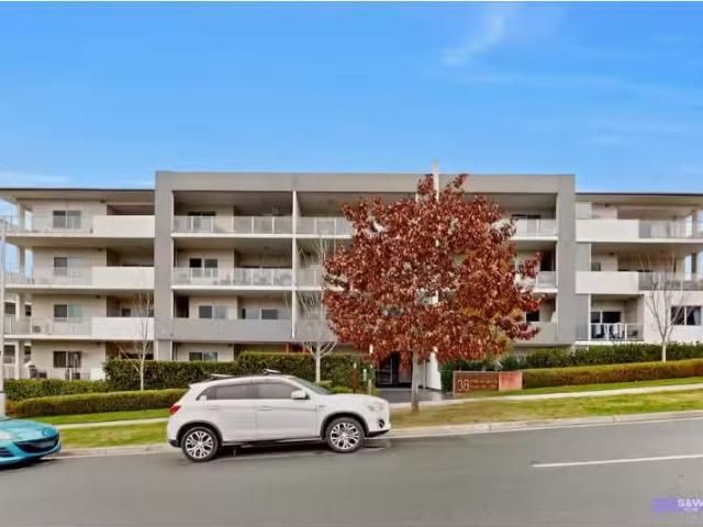 251/36 Philip Hodgins Street, Wright ACT 2611 Apartment for re.