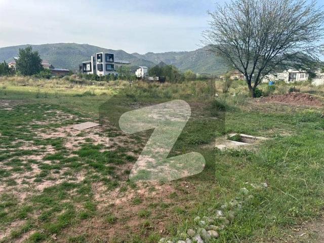 25*40 prime location