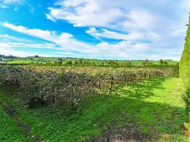 255 Goodwin Road, Waiuku, Franklin