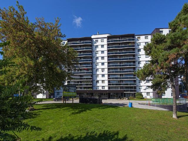 2570 Kingston Road 2 Bedroom Apartment for Rent at 2570 Kingston Rd, Toronto, ON M1M 1L9 Cliffside