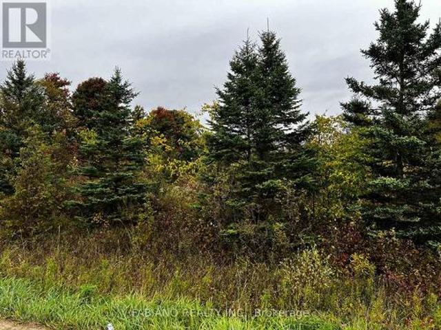 257 4Th Line Concession 4 Sw Line, Melancthon, ON, L9V 2C3 vacant land for sale | Listing ID X13443 | Royal LePage