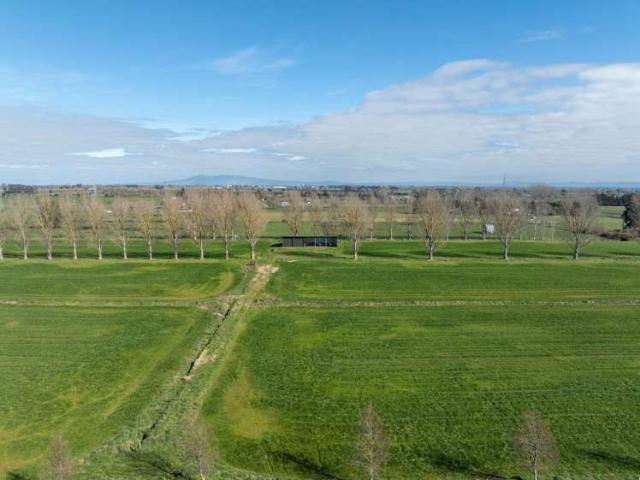258 Holland Road, Puketaha, Waikato