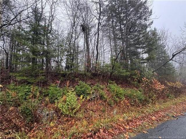 25 01 St. David Ridge Rd, Oak Bay, NB, E3L 4R1 vacant land for sale | Listing ID NB136351 | Royal LePage