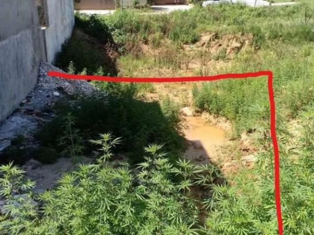 25 x 60 sq ft plot for sale in I 14/2, Islamabad I 14 ID 06363