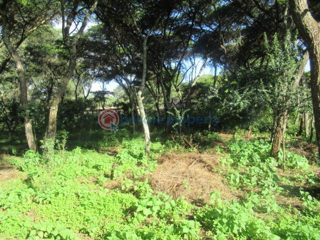 25 Acres Of Land For Sale In Ol Kalou