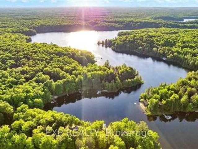 25 Fire Route 296 Route, Trent Lakes, ON, K0L 1J0 house for sale | Listing ID X11933 | Royal LePage