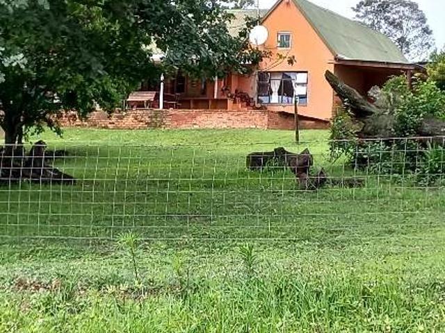 25 ha Farm in Greytown