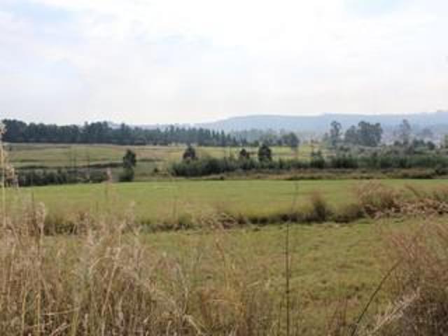 25 ha Land available in Tweedie